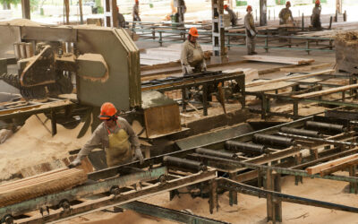 Comienza la asesoría técnica in company para la foresto-industria en el NEA